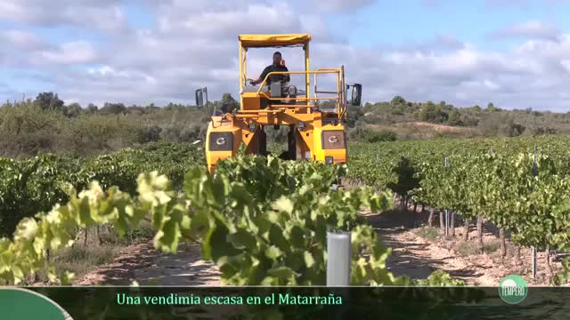 TEMPERO - Capítulo 3
