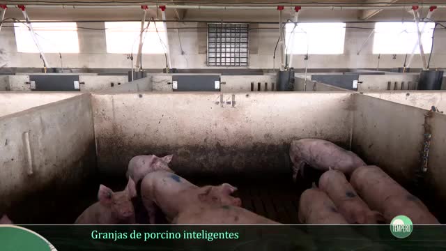TEMPERO - Capítulo 9