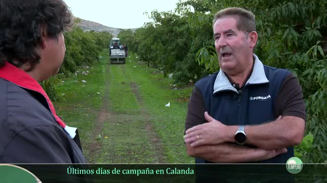 TEMPERO - Capítulo 7