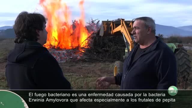 TEMPERO - Capítulo 16