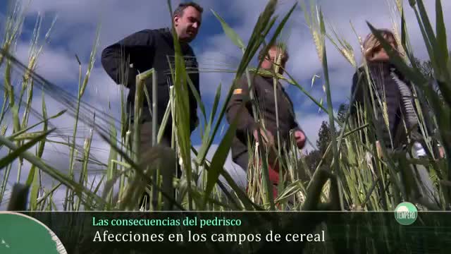 TEMPERO - Capítulo 31