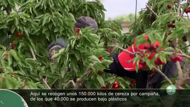 TEMPERO - Capítulo 33