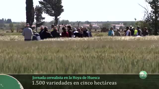 TEMPERO - Capítulo 34