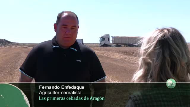 TEMPERO - Capítulo 36