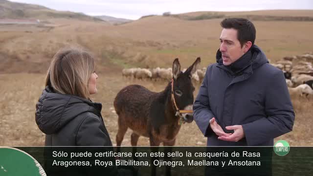 TEMPERO - Capítulo 14