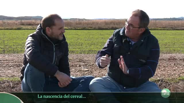 TEMPERO - Capítulo 18