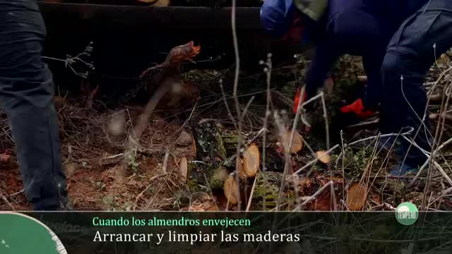 TEMPERO - Capítulo 16