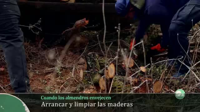 TEMPERO - Capítulo 16