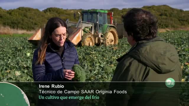 TEMPERO - Capítulo 17