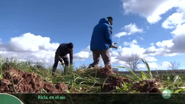 TEMPERO - Capítulo 22