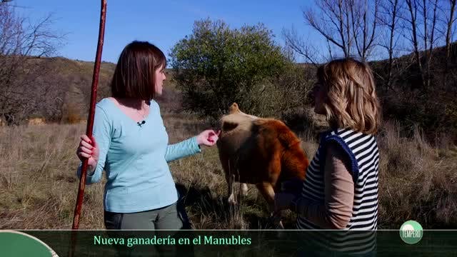 TEMPERO - Capítulo 24