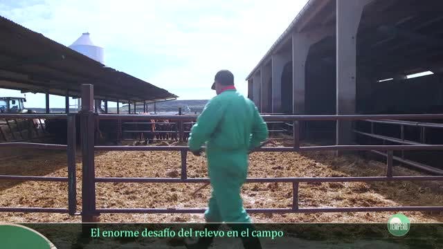 TEMPERO - Capítulo 25