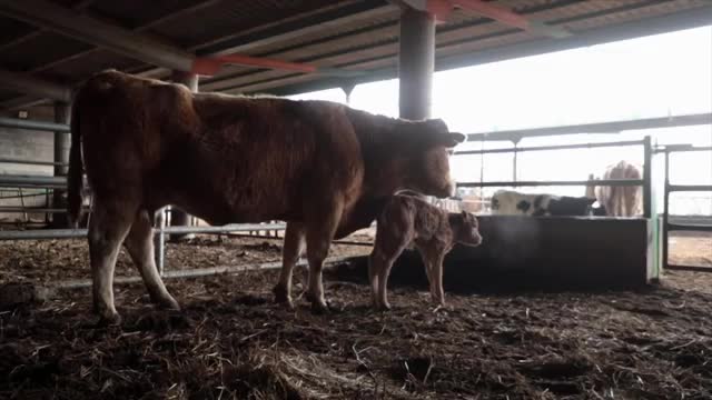 EL CAMPO ES NUESTRO - 2026-01-19