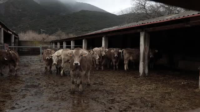 EL CAMPO ES NUESTRO - 2026-02-06