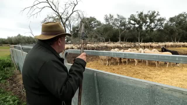 EL CAMPO ES NUESTRO - 2026-03-02