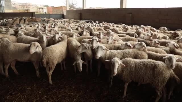 EL CAMPO ES NUESTRO - 2026-03-24