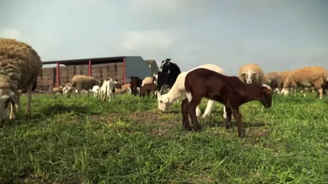 EL CAMPO ES NUESTRO - 2026-04-14