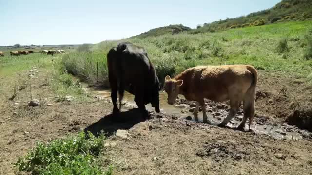 EL CAMPO ES NUESTRO - 2026-05-14