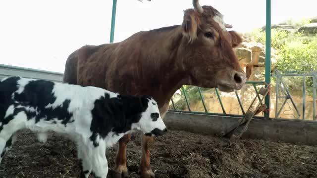 EL CAMPO ES NUESTRO - 2026-05-05