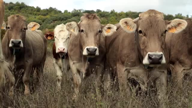 EL CAMPO ES NUESTRO - 2025-11-30