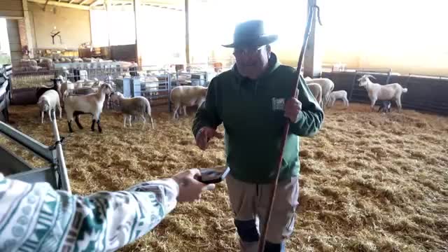 EL CAMPO ES NUESTRO - 2025-12-28