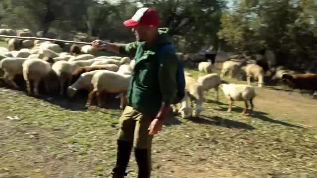 EL CAMPO ES NUESTRO - 2026-01-04