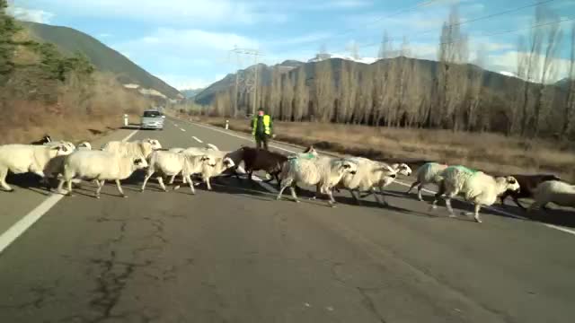 EL CAMPO ES NUESTRO - 2026-01-18