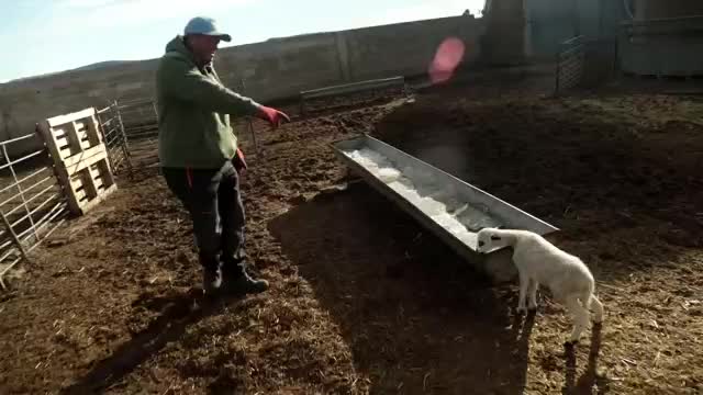 EL CAMPO ES NUESTRO - 2026-02-08