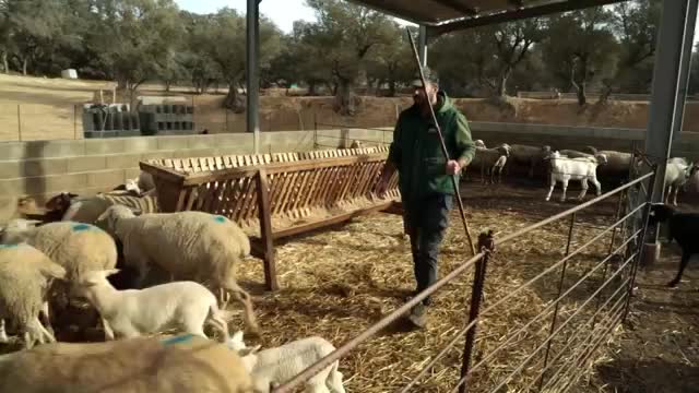 EL CAMPO ES NUESTRO - 2026-02-15