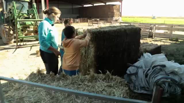 EL CAMPO ES NUESTRO - 2026-03-08