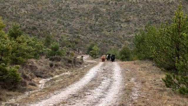 EL CAMPO ES NUESTRO - 2026-04-05