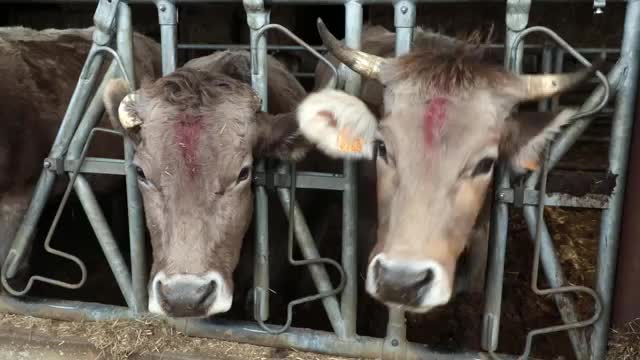 EL CAMPO ES NUESTRO - 2026-03-22