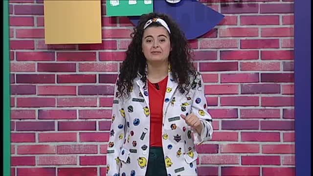 Feni, el flamenco de Gallocanta