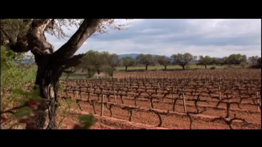 Enoturismo en el Somontano