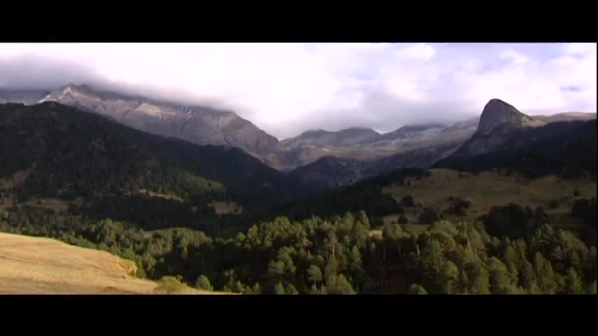 Aragón de Cine