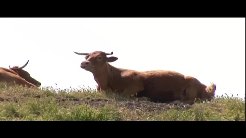 Por la Sierra de Gúdar