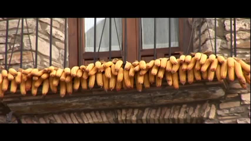 Boltaña