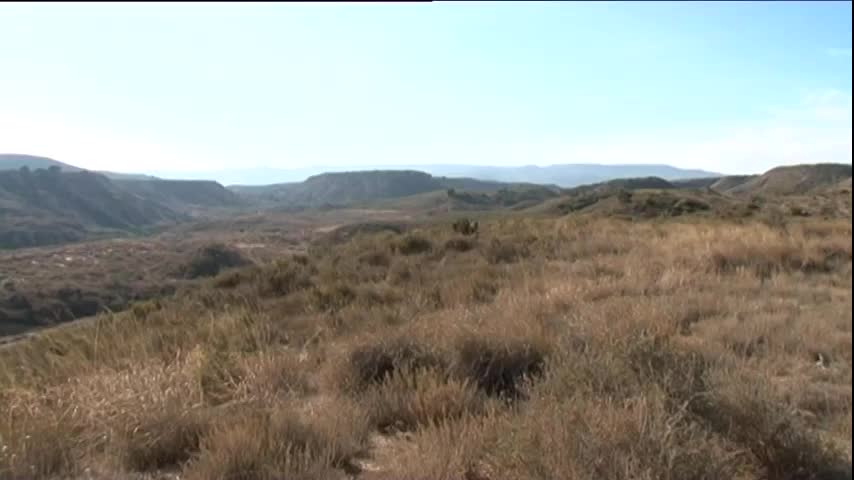 Villanueva de Sigena