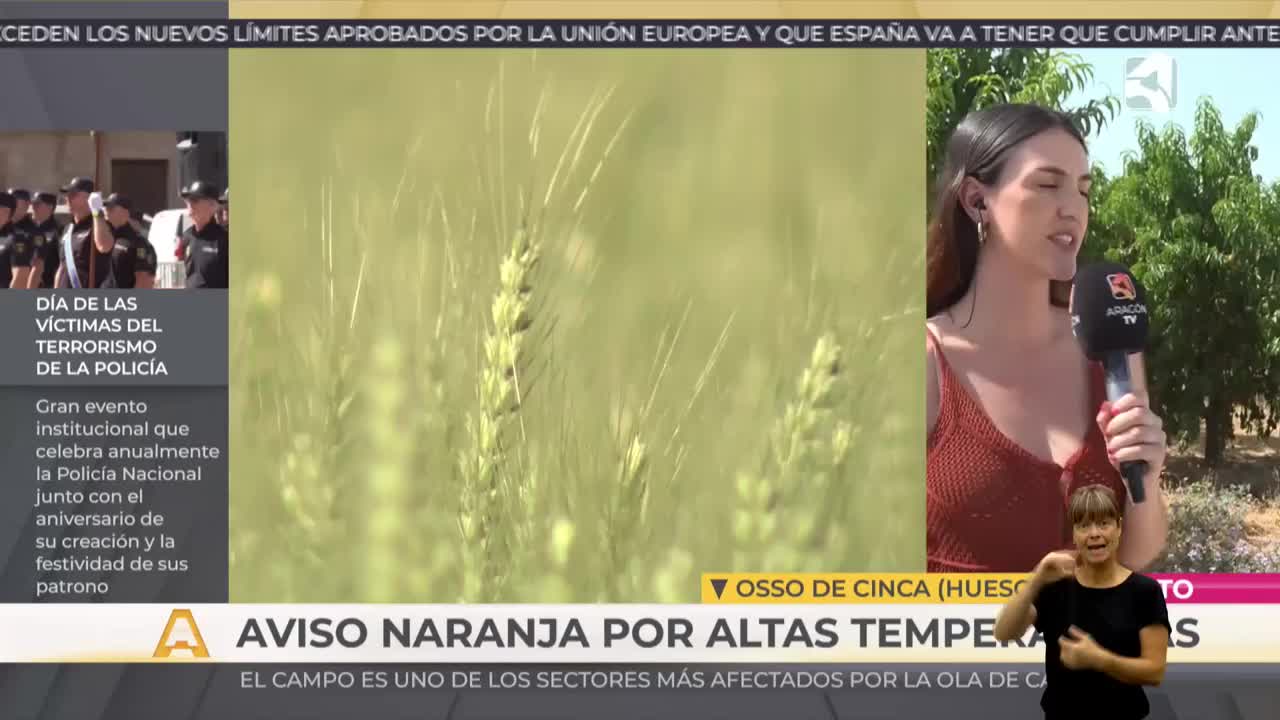 AQUÍ Y AHORA ACCESIBLE - 23/06/2026 - 11:00