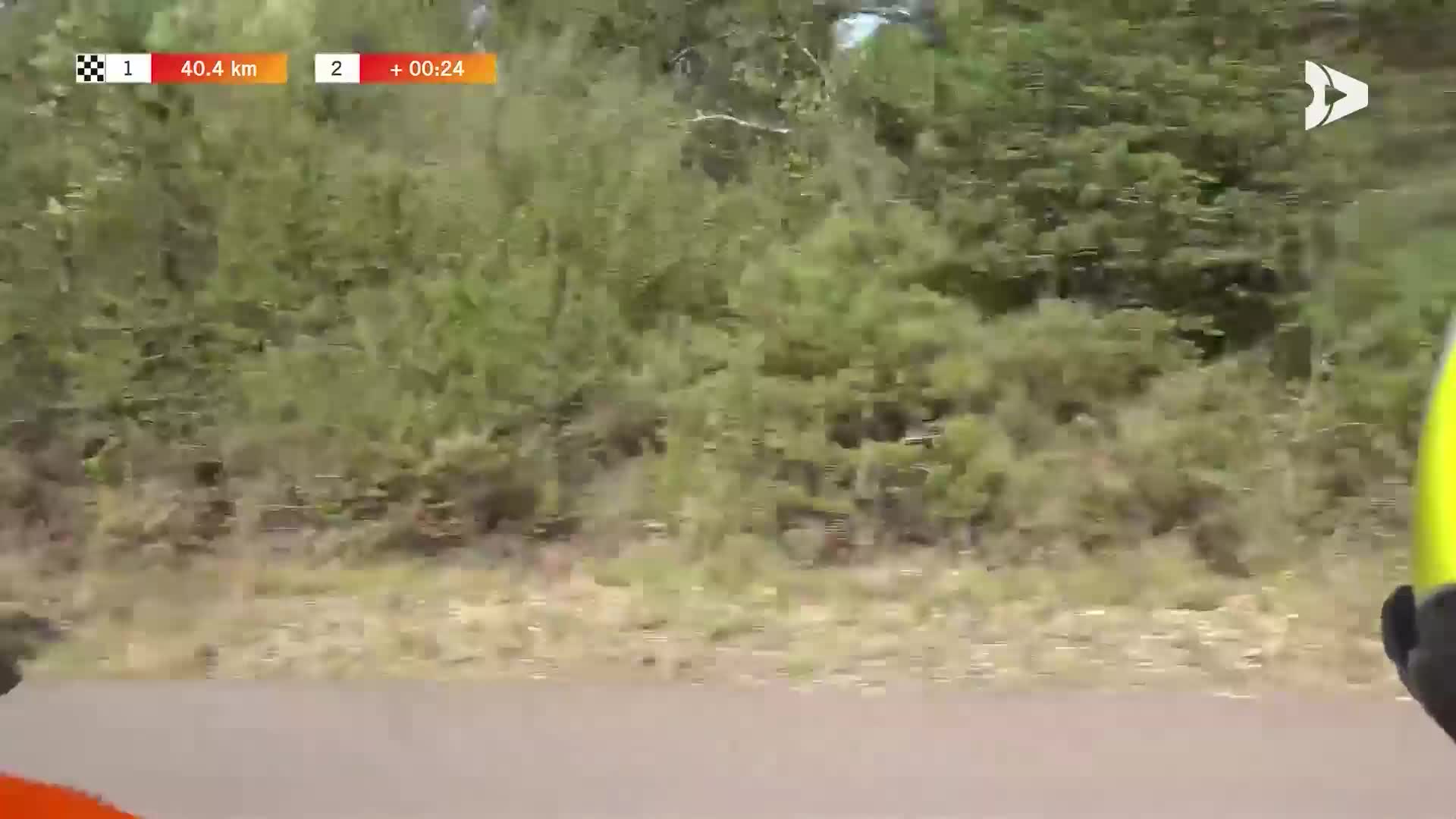 CAMPEONATO DE ESPAÑA DE CICLISMO EN RUTA