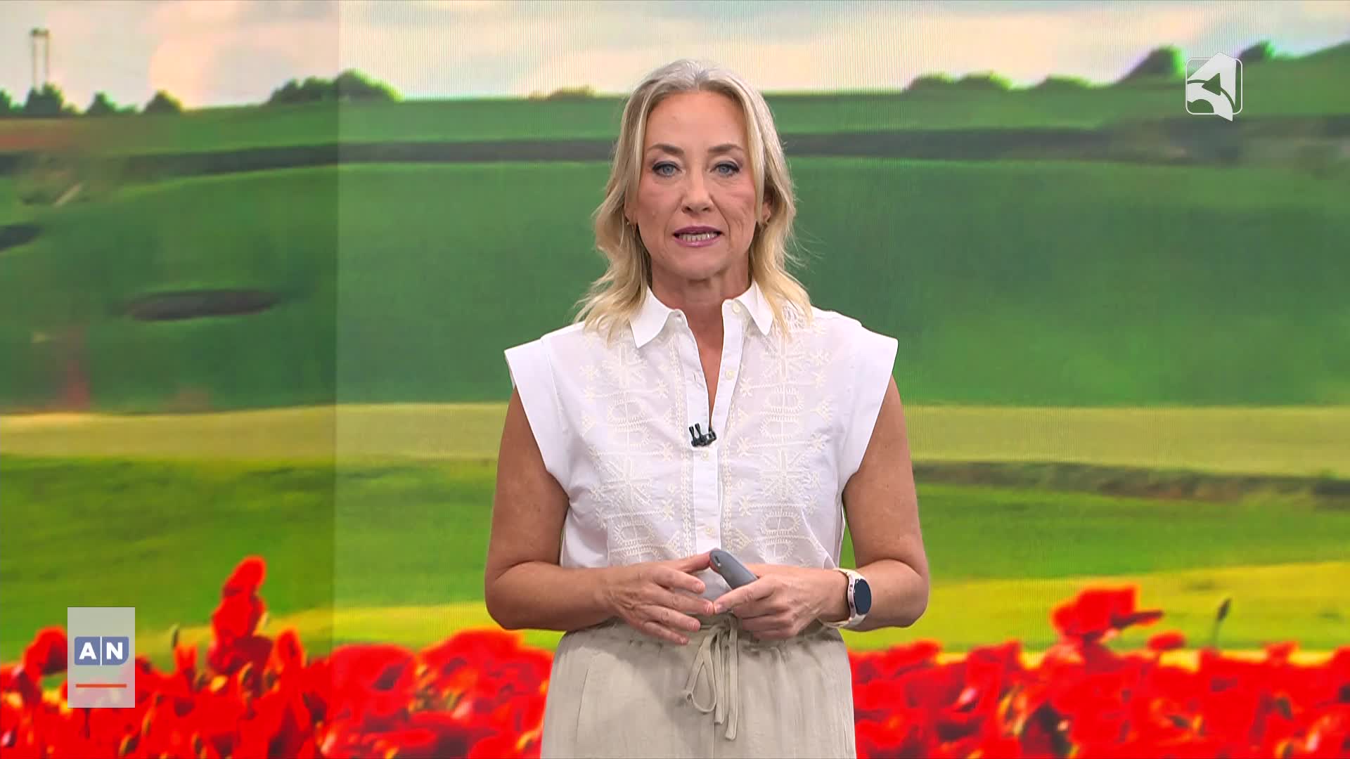 EL TIEMPO 1 - 29/06/2026 - 15:00