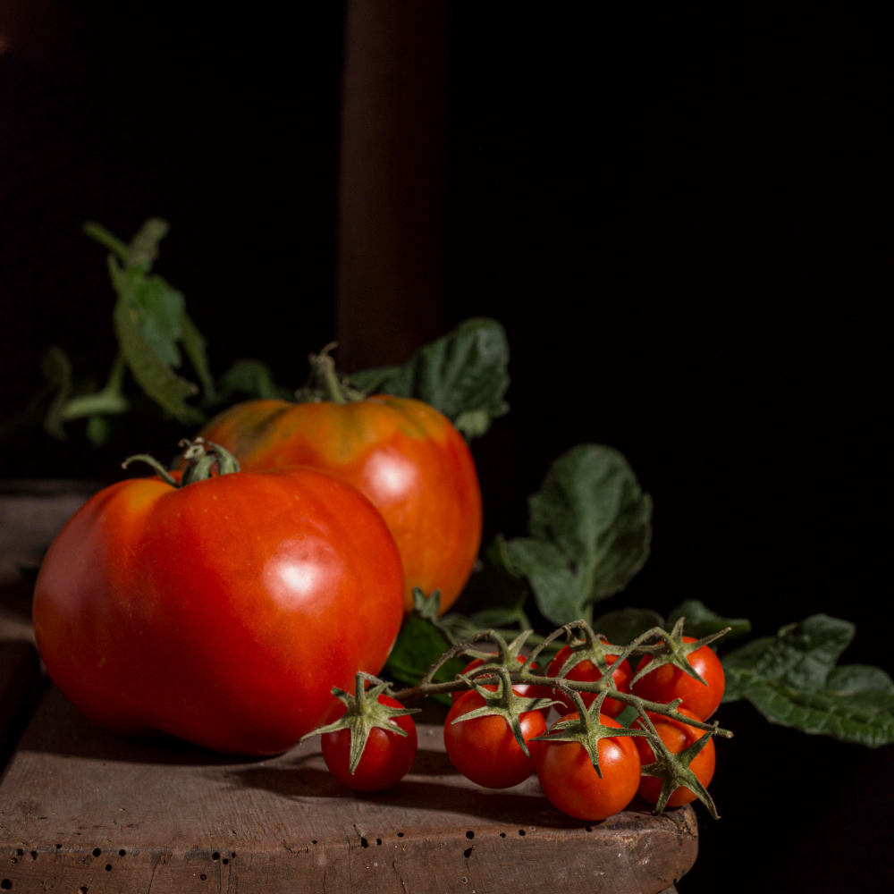 El calor pone a prueba al tomate rosa de Barbastro en plena campaña