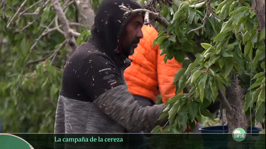 TEMPERO - Capítulo 34