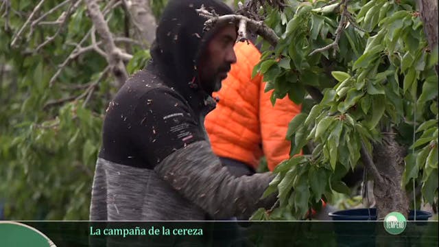 TEMPERO - Capítulo 34
