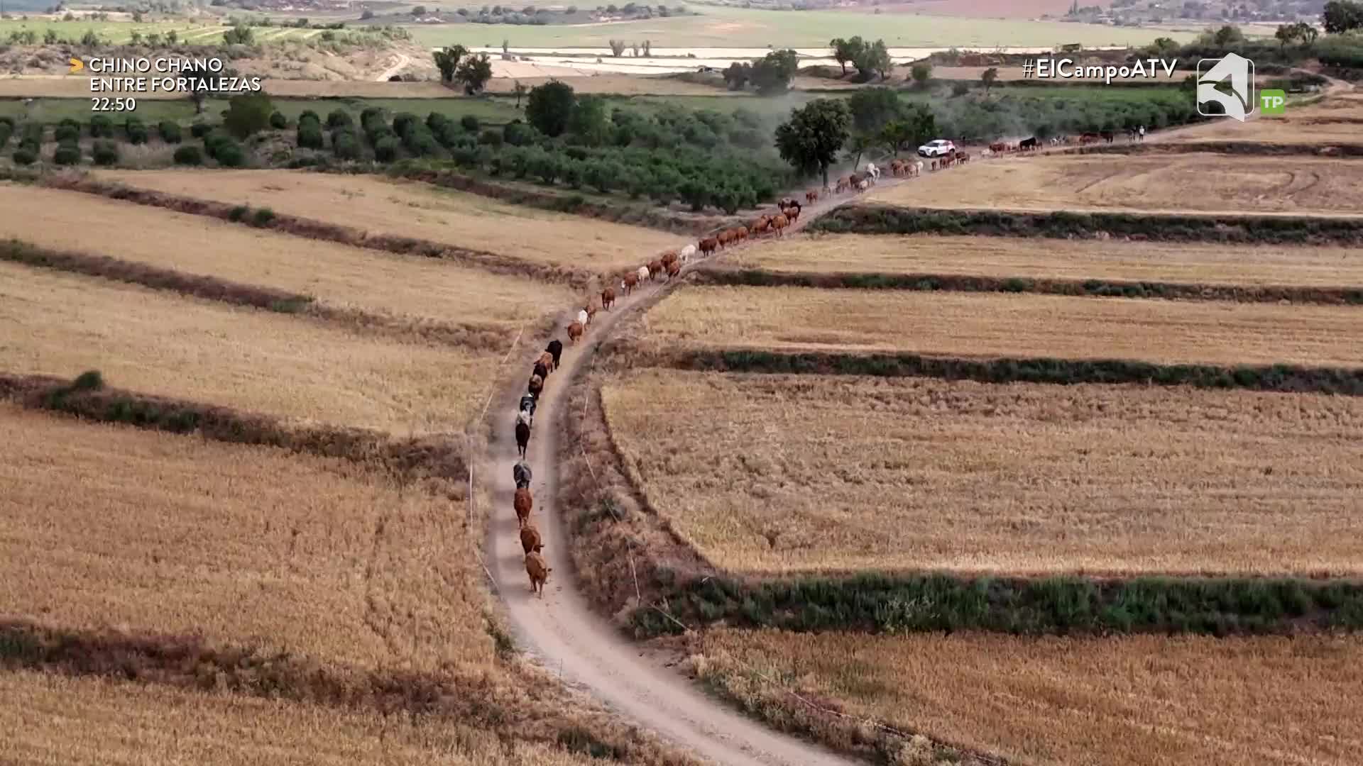 EL CAMPO ES NUESTRO - 17/07/2026 - 15:10