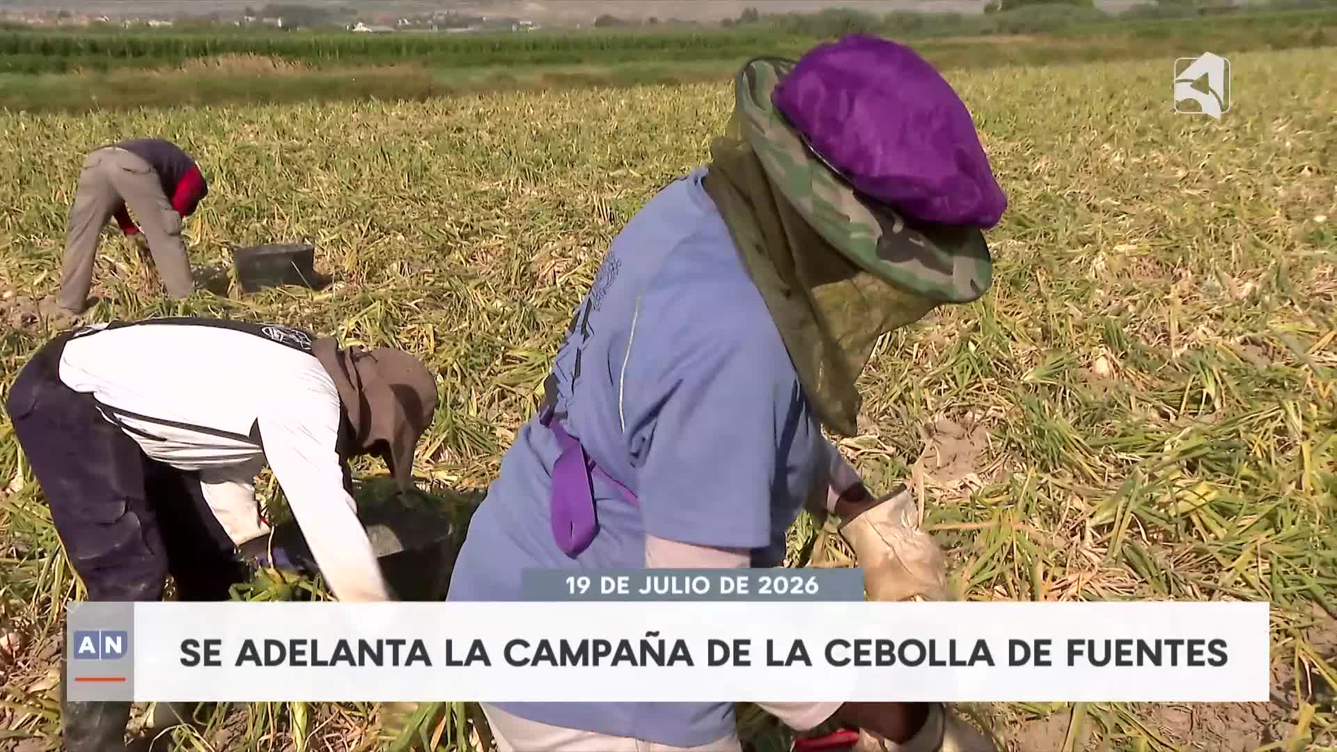 ARAGÓN NOTICIAS 2 - 19/07/2026 - 20:30