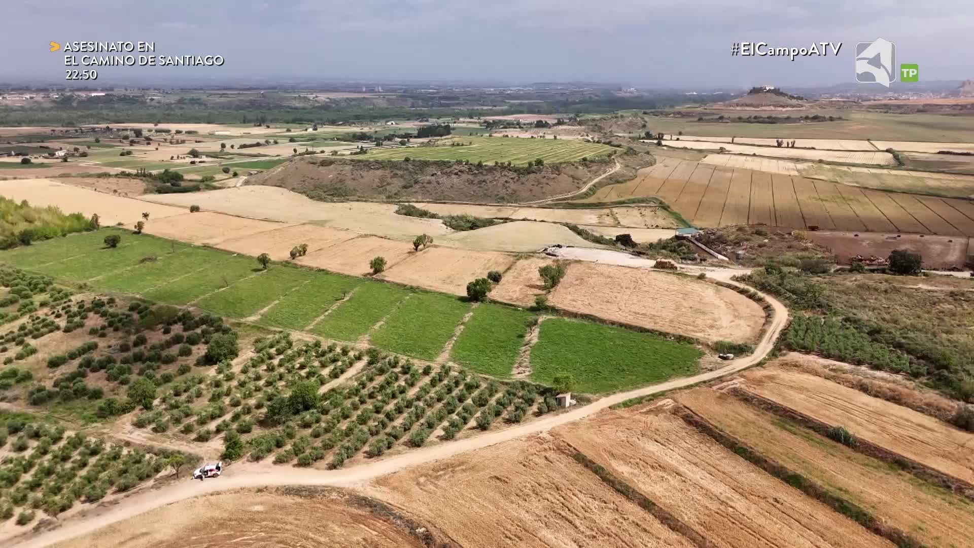 EL CAMPO ES NUESTRO - 21/07/2026 - 15:10