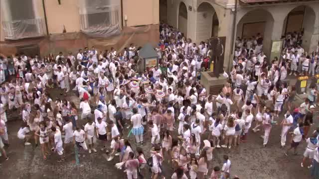 Cipotegato 2017