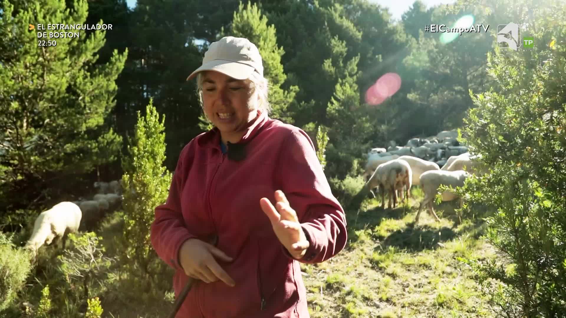 EL CAMPO ES NUESTRO - 22/07/2026 - 15:10