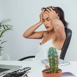 El calor extremo reduce hasta un 36 % la productividad laboral